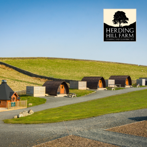 Herding Hill Farm, Northumberland Campsite